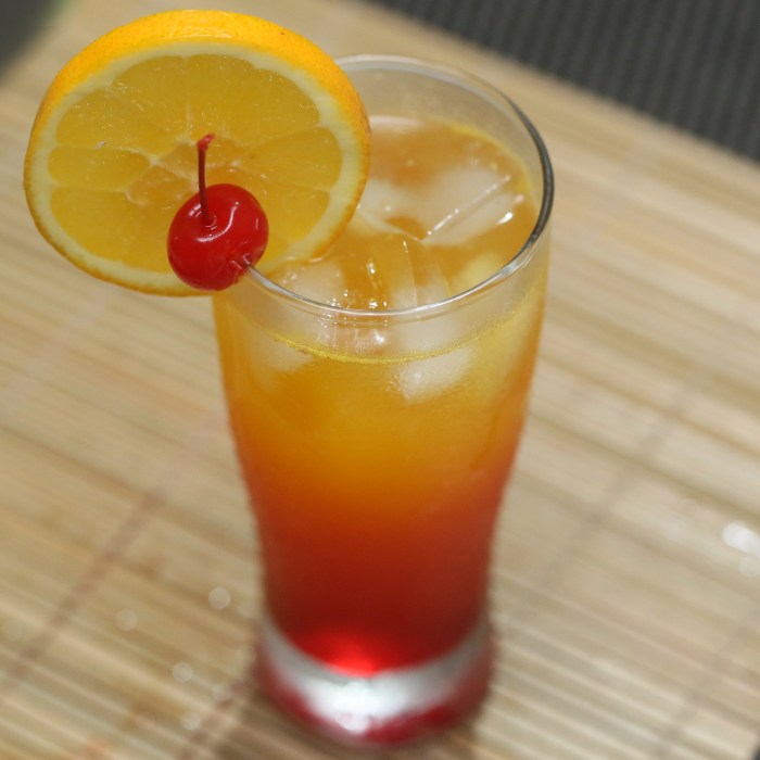 Amaretto Stone Sour #3