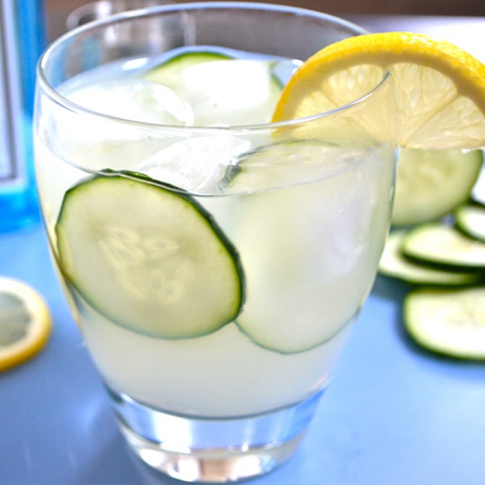 Gin Cooler